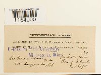 Image Associated With the Occurrence