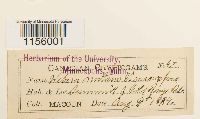 thumbnail image of current specimen