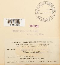 Image Associated With the Occurrence