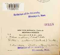 Image Associated With the Occurrence