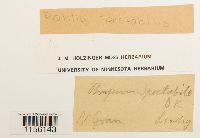 Thumbnail image of current specimen