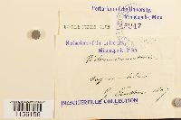 thumbnail image of current specimen