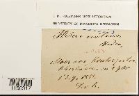 Image Associated With the Occurrence