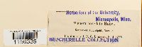 thumbnail image of current specimen