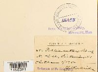 thumbnail image of current specimen