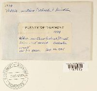 Image Associated With the Occurrence