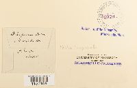 thumbnail image of current specimen