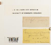 Image Associated With the Occurrence