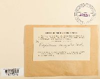 Polytrichum sexangulare image