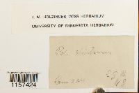 Image Associated With the Occurrence