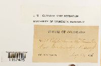 Image Associated With the Occurrence