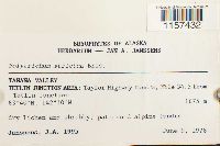 Image Associated With the Occurrence