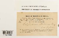 Image Associated With the Occurrence