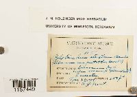 Image Associated With the Occurrence