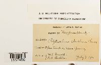 Image Associated With the Occurrence