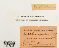 Image Associated With the Occurrence