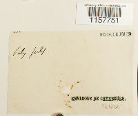 Image Associated With the Occurrence