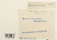 Image Associated With the Occurrence