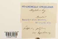 Image Associated With the Occurrence