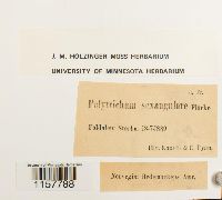 Image Associated With the Occurrence