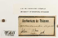 Image Associated With the Occurrence