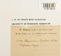 Porotrichum bigelovii image