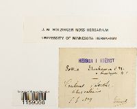 Thumbnail image of current specimen