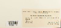 thumbnail image of current specimen