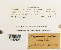 thumbnail image of current specimen