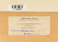 Image Associated With the Occurrence