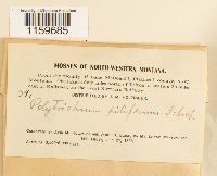 Image Associated With the Occurrence