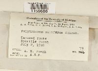 Image Associated With the Occurrence