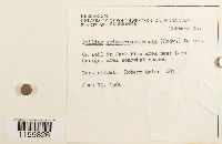 Image Associated With the Occurrence