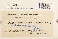 Image Associated With the Occurrence