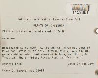 Image Associated With the Occurrence