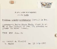 Image Associated With the Occurrence