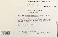 Image Associated With the Occurrence