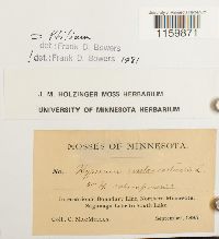 Image Associated With the Occurrence