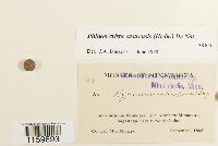 Image Associated With the Occurrence