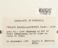 Image Associated With the Occurrence