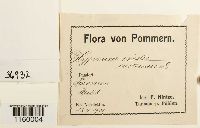 Image Associated With the Occurrence