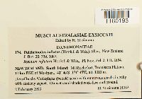 Image Associated With the Occurrence