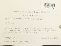 Pylaisiella selwynii image