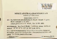 Thumbnail image of current specimen