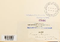 Racomitrium lanuginosum image