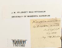 thumbnail image of current specimen
