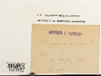 Thumbnail image of current specimen