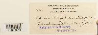 thumbnail image of current specimen