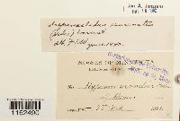 Image Associated With the Occurrence