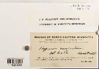 Image Associated With the Occurrence